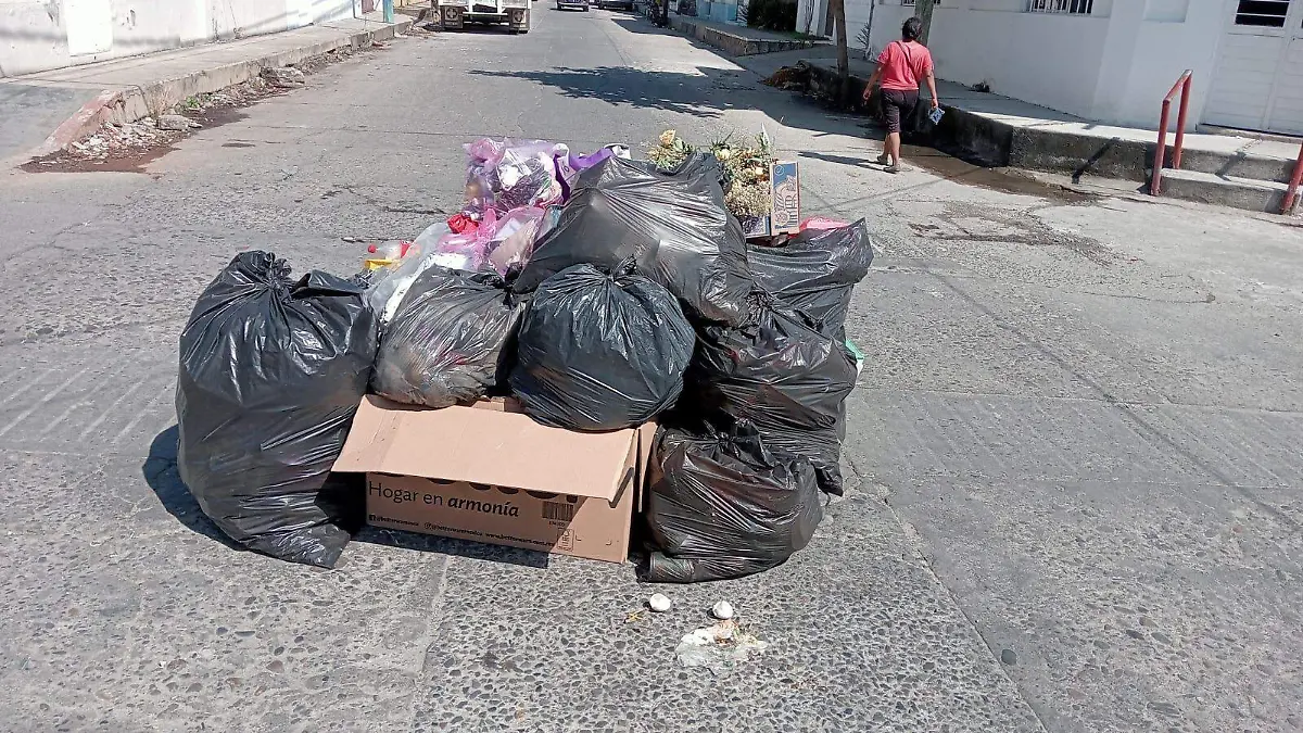 bolsas de basura en la calle